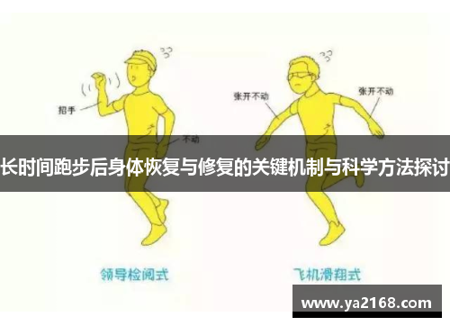 长时间跑步后身体恢复与修复的关键机制与科学方法探讨
