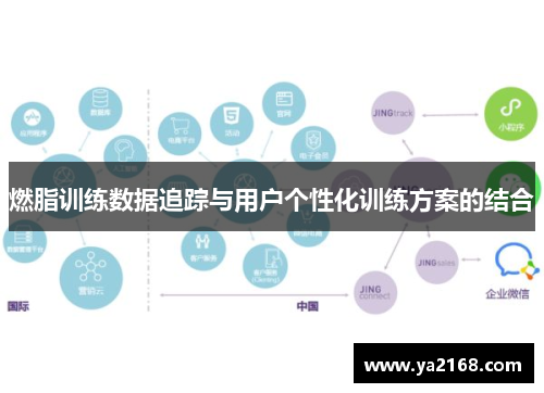 燃脂训练数据追踪与用户个性化训练方案的结合